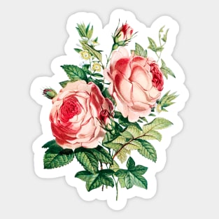 Colorful Vintage Watercolor Rose Flowers Bouquet Sticker